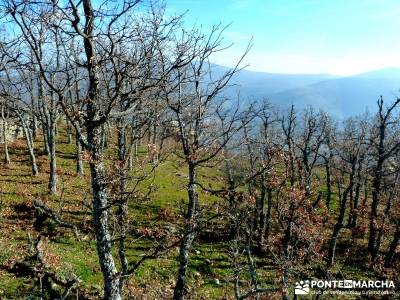 La Cachiporrilla - Altos del Hontanar; paseos por madrid; rutas alrededor de madrid;la palma la isla